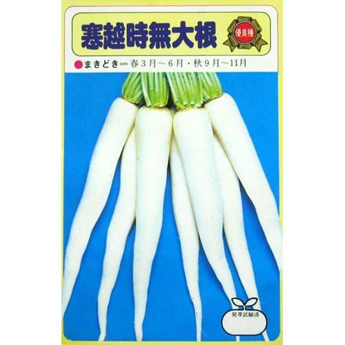 大根 種 【寒越時無】 10ml | 農業屋.com