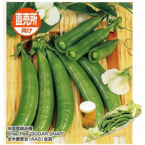 送料無料】【 令和6年産 】【 新米 】 岐阜県産 ハツシモ 玄米 2等米