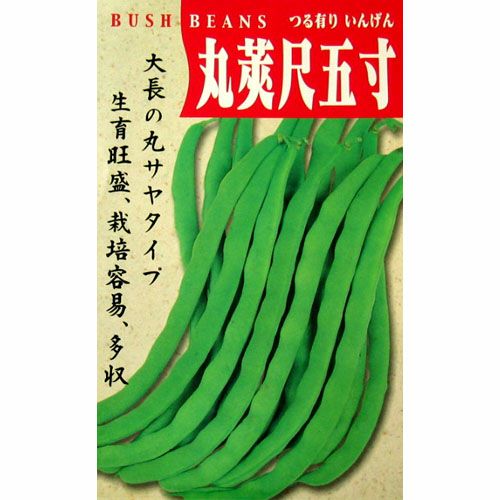 つるありいんげん 種 【尺五寸】 30ml | 農業屋.com