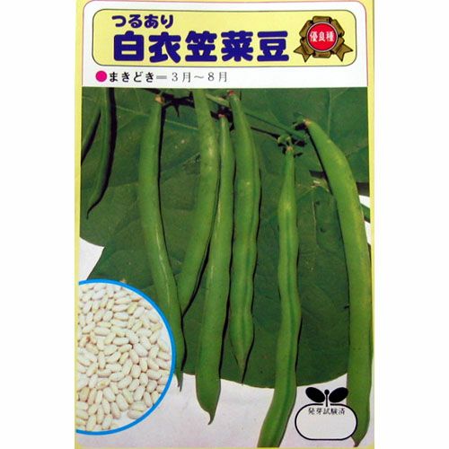 ブロッコリー 種 【 BL－456 】 ペレット5千粒 ( ブロッコリーの