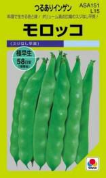 つるありいんげん 種 【 モロッコ 】 小袋(MF 27ml) ( つるあり