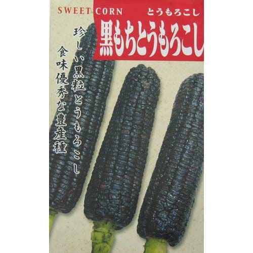とうもろこし 種 【 黒もろこし 】 小袋 ( とうもろこしの種 ) | 農業