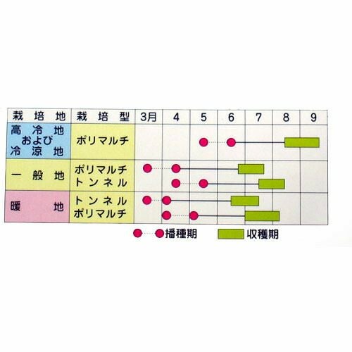 とうもろこし 種 【ピーターコーン】 約200粒 | 農業屋.com