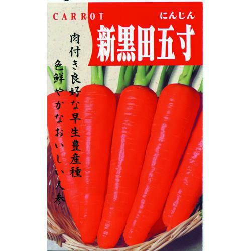 にんじん 種 【新黒田五寸】 20ml | 農業屋.com