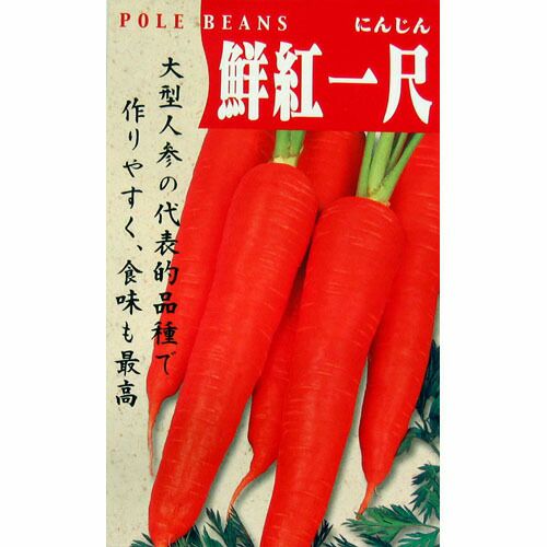 さつまいも苗 【 あまはづき 】10本 【予約販売 芋づる さつまいも 苗