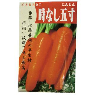 ニンジン 種 【 時なし五寸 】 小袋 (6ml) ( ニンジンの種 ) | 農業屋.com