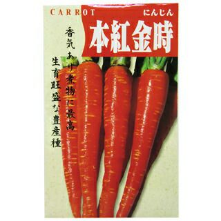 にんじん 種 【本紅金時人参】 8ml | 農業屋.com