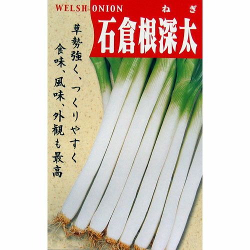 ネギ 種 【石倉根深太】 小袋 | 農業屋.com