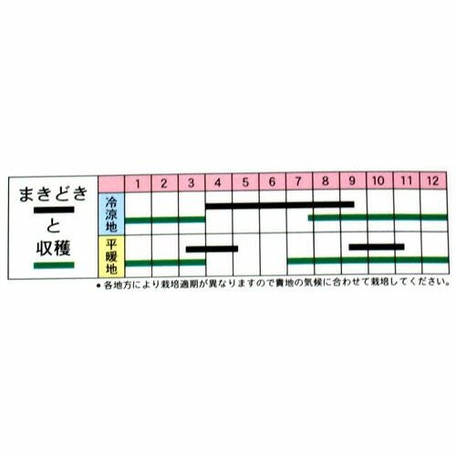 ネギ 種 【越津中葱】 小袋 | 農業屋.com