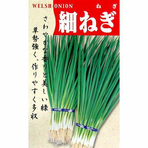 000000004458-01.jpg?size=l&w=