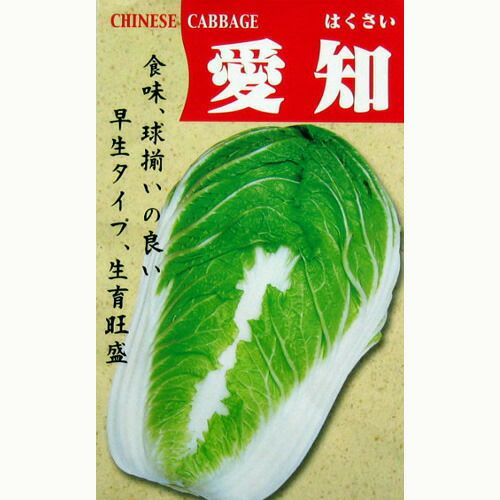 白菜 種 【愛知】 8ml | 農業屋.com