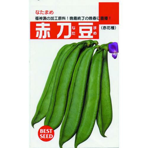 送料無料】【 令和6年産 】【 新米 】 愛知県産 あいちのかおり 玄米 2