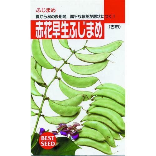 ブロッコリー 種 【 おはよう 】 2000粒 | 農業屋.com