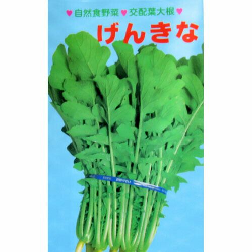 げんきな 】 種子 小袋（約20ml） | 農業屋.com