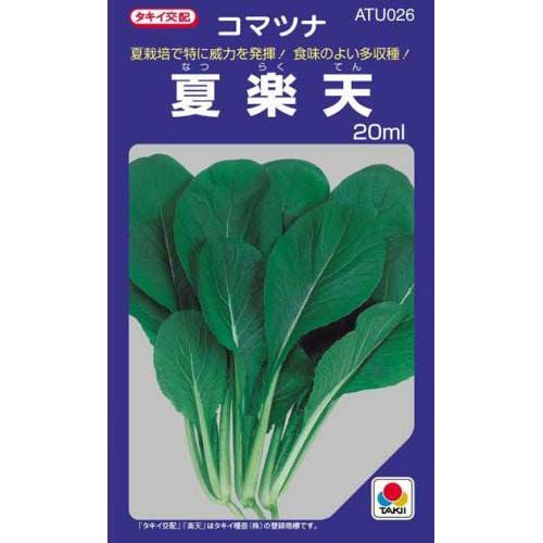小松菜 種 【夏楽天】 20ml | 農業屋.com