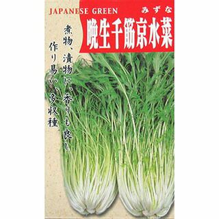 水菜 種 【 晩生千筋京水菜 】 種子 小袋（約8mL) | 農業屋.com