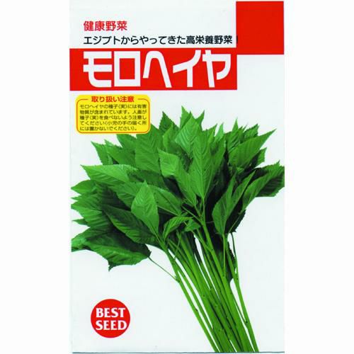 モロヘイヤページ モロヘイヤ 】 種子 小袋（約1ml） | 農業屋.com