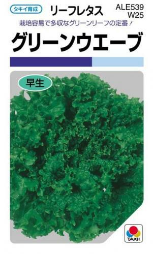 レタス 種 【 グリーンウエーブ 】 小袋 GF ( レタスの種 ) | 農業屋.com