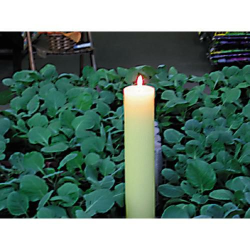 園芸用ローソク #230 サイズ:7.9Φ×43cm 】 | 農業屋.com
