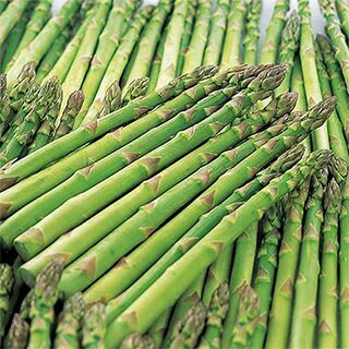 アスパラガス | 農業屋.com