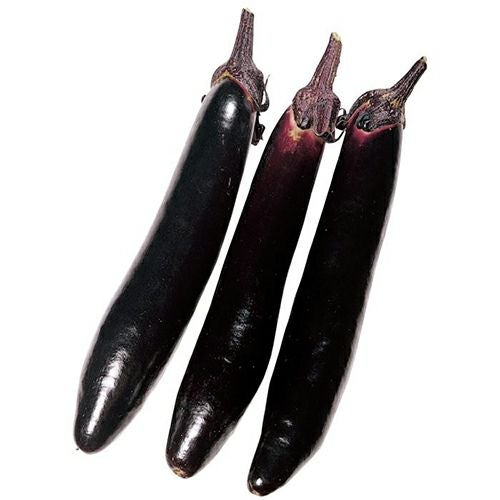 なす 種 【飛天長】 20ml | 農業屋.com