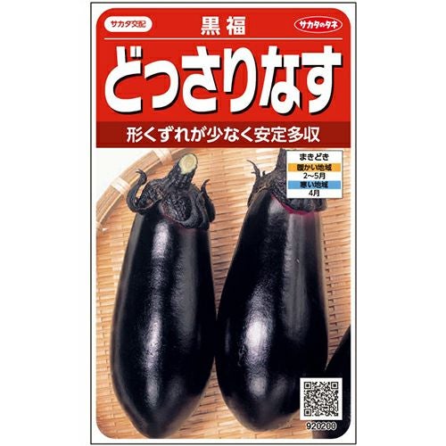 くろ&amp;なす 黒十全茄子 20個入り/なす ナス/やまちゃん農園/後払い決済不可/送料