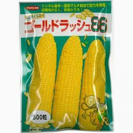 とうもろこし 種 【ゴールドラッシュ86】 200粒 | 農業屋.com