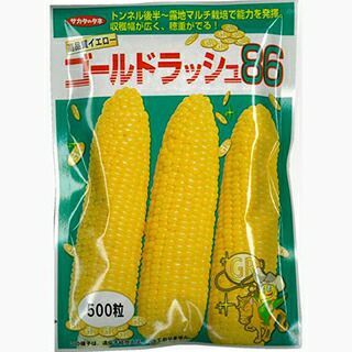 とうもろこし 種 【ゴールドラッシュ86】 2,000粒 | 農業屋.com
