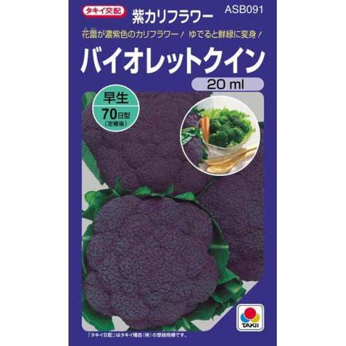 カリフラワー 種 【 バイオレットクイン 】 種子 20ml | 農業屋.com