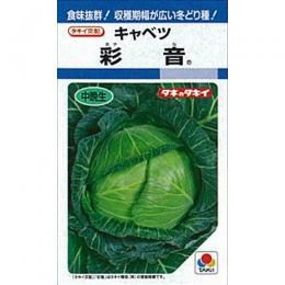 キャベツ | 農業屋.com