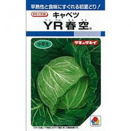 キャベツ | 農業屋.com