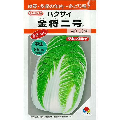 白菜 種 【 金将二号 】 小袋 RF ( 白菜の種 ) | 農業屋.com
