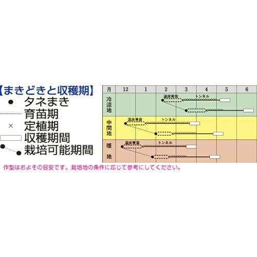 白菜 種 【 春笑 】 種子 L5千粒 | 農業屋.com