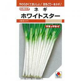 ネギ 種 【 ホワイトスター 】 種子 1dl | 農業屋.com