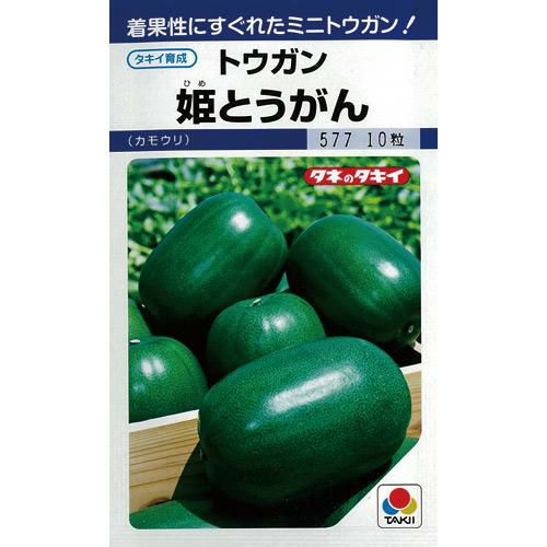 オクラ種15粒　冬瓜タネ15粒　トウガン　自家採種　収穫夏以降　農薬不使用 トウガン 沖縄冬瓜｜種（タネ）,球根,苗,資材,ガーデニンググッズの