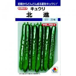 きゅうり 種 【北進】 350粒 | 農業屋.com