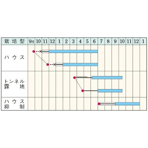 オクラ 種 【アーリーファイブ】 10,000粒 | 農業屋.com