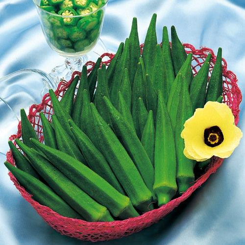 オクラ 種 【グリーンソード】 1,000粒 | 農業屋.com