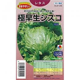 レタス 種 【 極早生シスコ 】 種子 ペレットL5千粒 | 農業屋.com