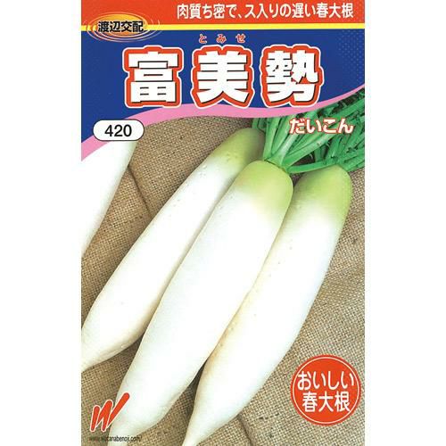 ダイコン　富美勢　 1デシリットル 大根 種 【 富美勢 】 種子 小袋（約20ml） | 農業屋.com
