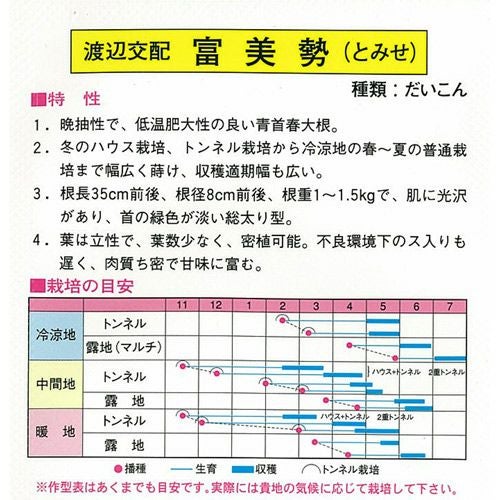 ダイコン　富美勢　 1デシリットル 大根 種 【 富美勢 】 種子 小袋（約20ml） | 農業屋.com