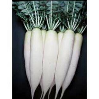 大根 種 【 お徳 】 種子 2dl缶 | 農業屋.com