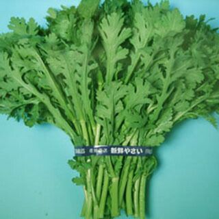 春菊 種 【 香取春菊1L 】 種子 1L | 農業屋.com