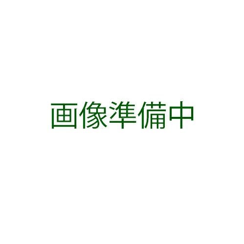 ブロッコリー 種 【 ブロッコリー 】 種子 コート5千粒 | 農業屋.com