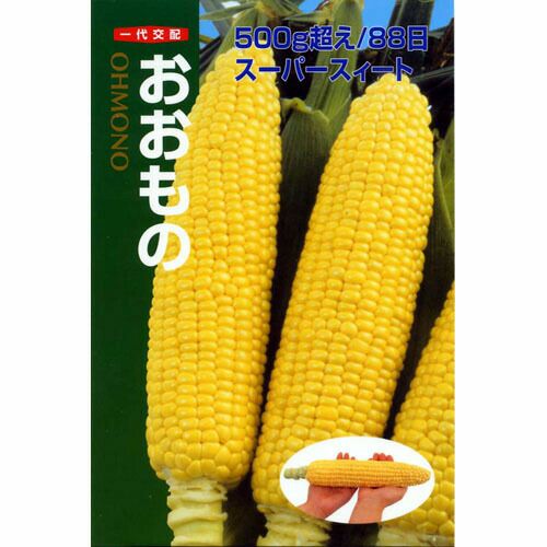 とうもろこし 種 【おおもの】 2,000粒 | 農業屋.com