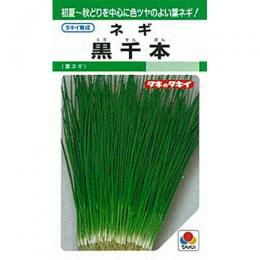 000000006294-01.jpg?size=l&w=