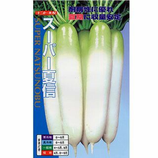 大根 種 【 スーパー夏信 】 種子 2dl | 農業屋.com