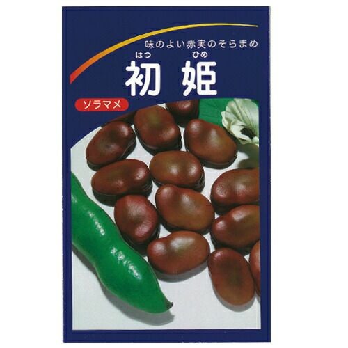 そら豆 種 【 初姫 】 小袋（9粒） ( そら豆の種 ) | 農業屋.com