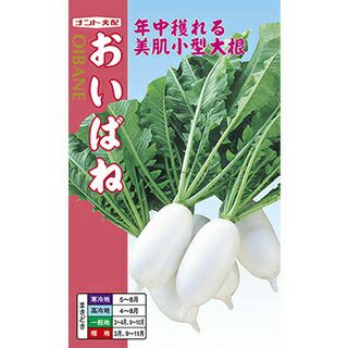 ミニ大根 種 【 おいばね 】 種子 小袋（約20ml） | 農業屋.com