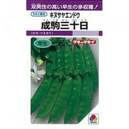 きぬさやエンドウ | 農業屋.com